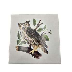 MCM Vintage Hyalyn Owl Trivet Tile Cork Back California Pottery